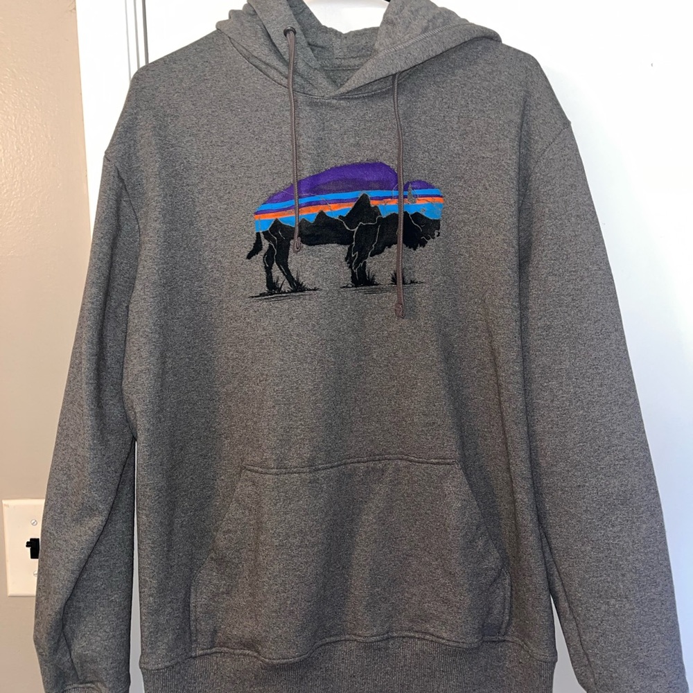 Gray Patagonia Graphic Hoodie